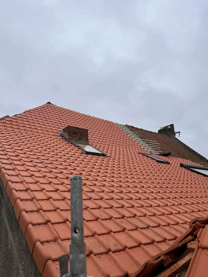 img_187920230329-2728616-1lq4k5o