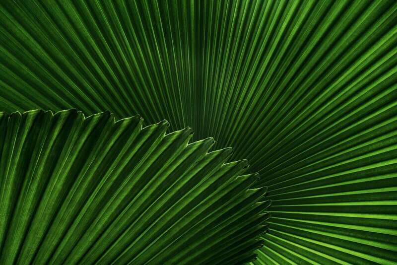 Mathilde Cramagnac Naturopathie Dépression Stress Traumatique Viol Agression Sexuelle Violence Victime Aide Thuir Perpignan Pyrénées Orientales 66