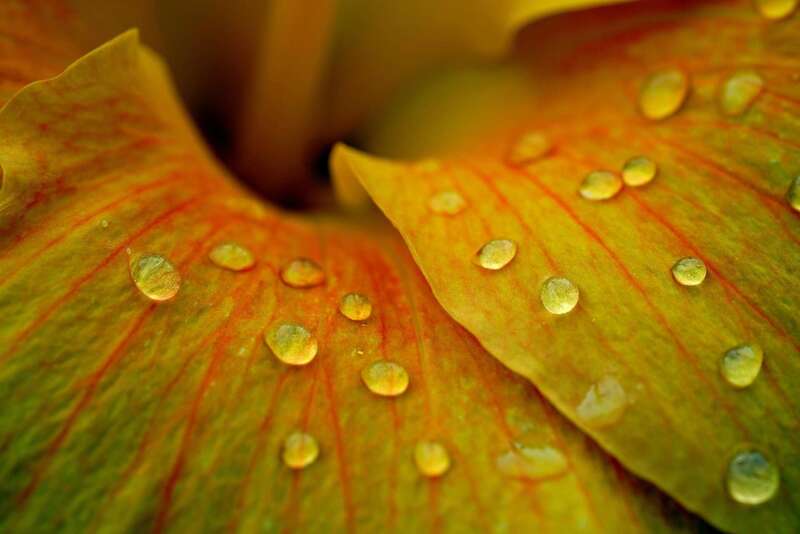 Mathilde Cramagnac bonheur calme sommeil relaxation