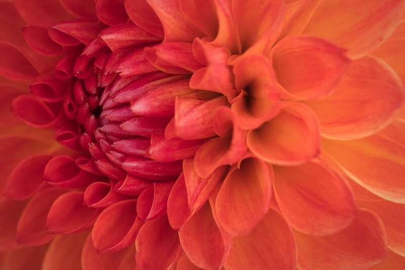 Apaisement émotionnel et soutien des traumas par le Reiki à Thuir