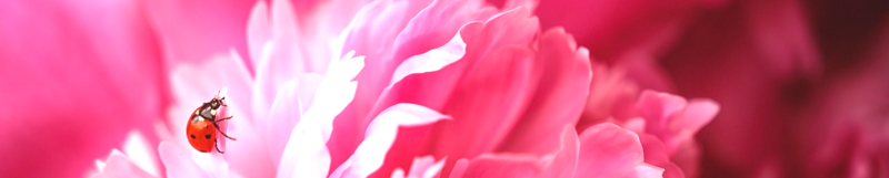 Naturopathie pour fatigue, anxiété et bien-être naturel à Thuir – accompagnement personnalisé pour équilibre physique et émotionnel