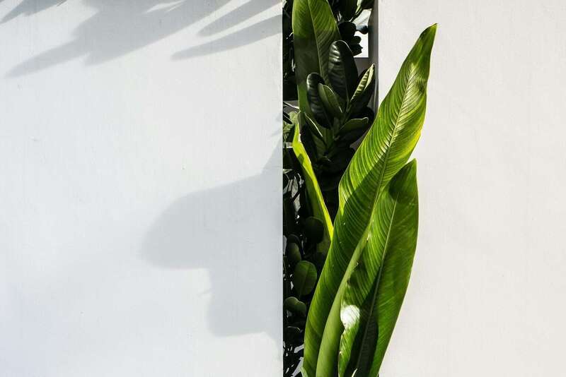 soin énergétique pour harmonisation des énergies, relaxation, gestion du stress et bien-être globalénergétique, Thuir, Pyrénées Orientales