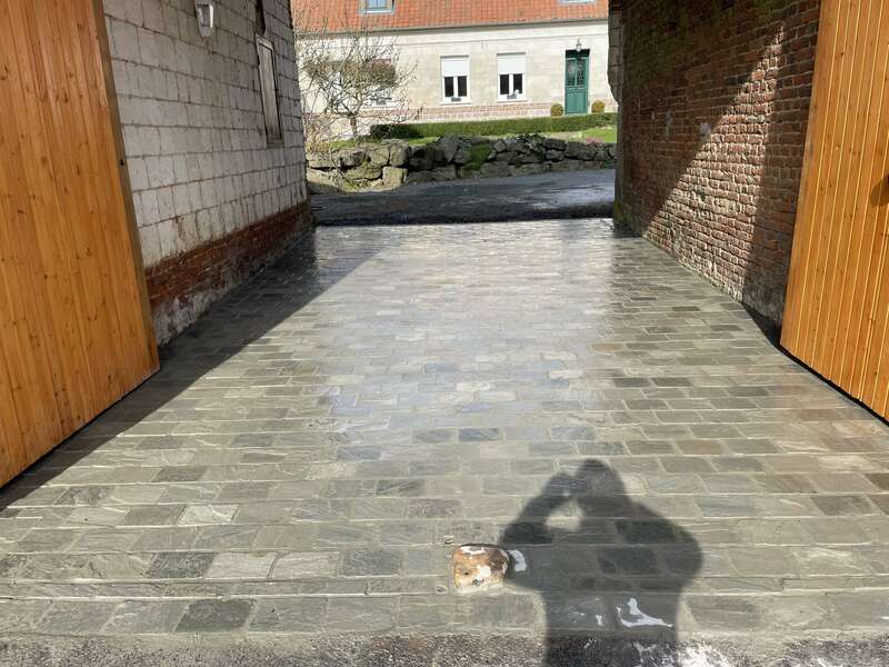 img_988820250316-79708-120nfg5