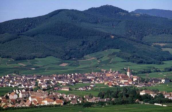 Conciergerie Airbnb en Alsace : formule digitale ou prise en charge totale, que choisir ?