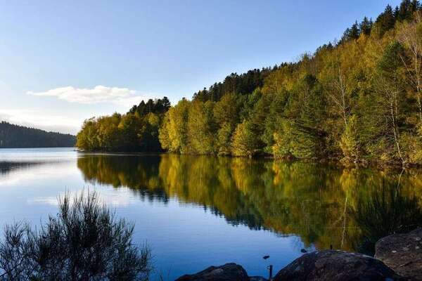 Chalet à louer en Alsace : que faire dans les Vosges en hiver et en été ?