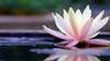 pourquoi therapie corporelle