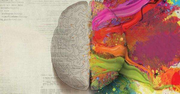 Ajustements chiropratiques et fonction cérébrale