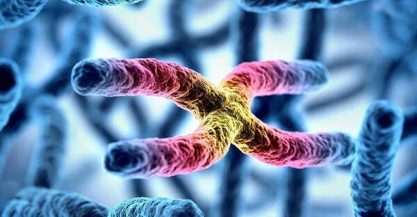 L'épigénétique : Quand l'environnement influence nos gènes !