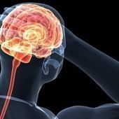 La chiropraxie stimulerait le fonctionnement du cortex cérébral