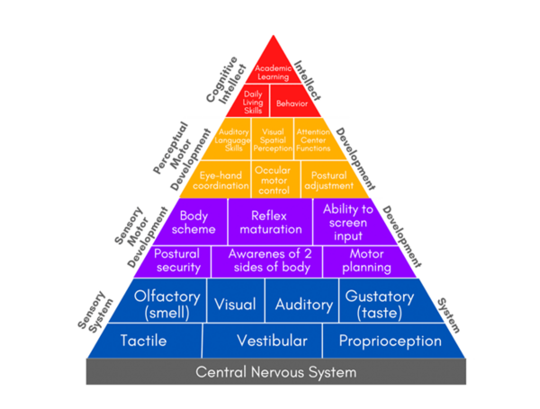 La Pyramide des apprentissages