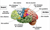 traitement informations organes