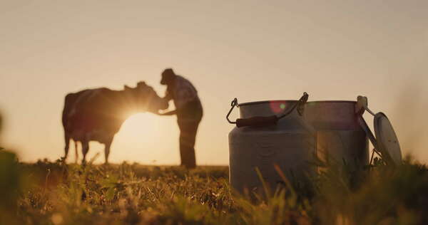 Le Salon International de l'Agriculture (SIA) 2025 : Un événement incontournable