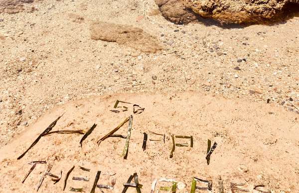 FAIRE UNE PAUSE DANS LE MÉTIER D'ÊTRE HUMAIN