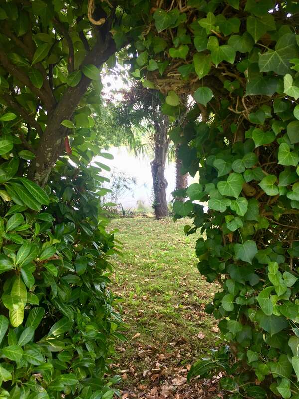 COMMENT RETROUVER  L'IDENTITÉ FONCTIONNELLE DE VOTRE CORPS ET DE VOTRE ESPRIT GRÂCE À L'HYPNOSE - L'EFT  - LE REIKI - LE COACHING CORPOREL