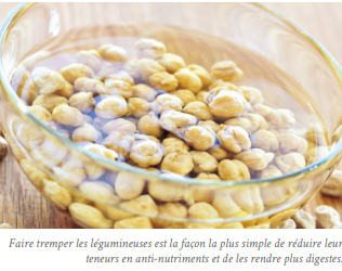 Guide pratique pour profiter au mieux des légumineuses