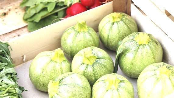 Courgettes farcies végé