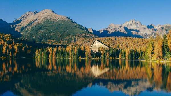 Détox & reminéralisation: le retour de la sève de bouleau