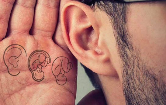 Soulager ses maux grâce à l'auriculothérapie