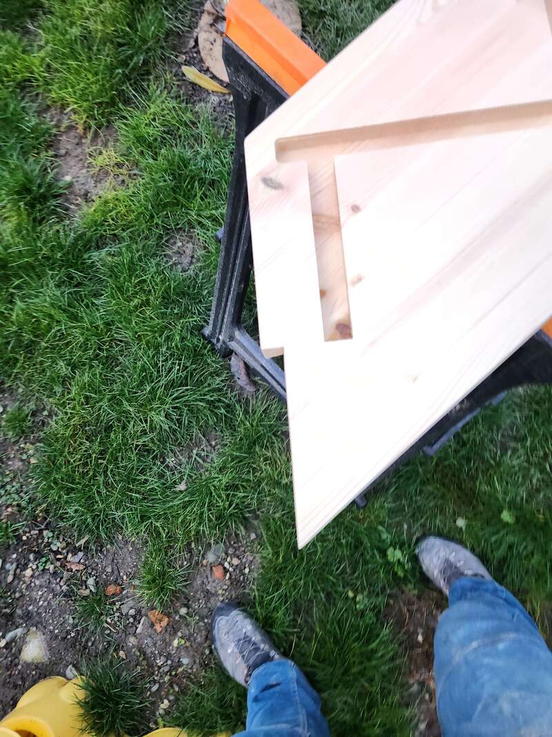 20241213_162326_120250909-2059149-xetvec