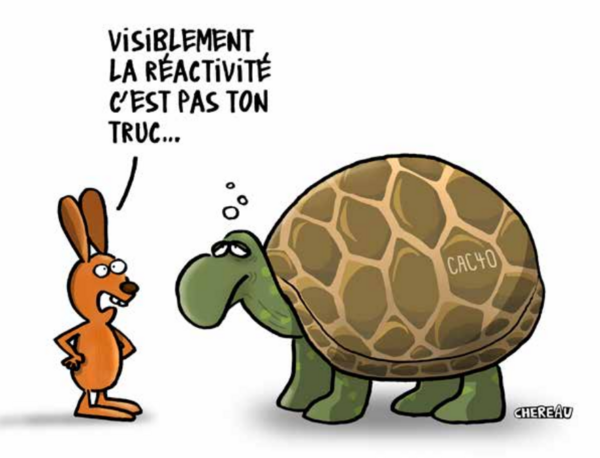 Start-up et grands groupes : un "nous" à construire ?