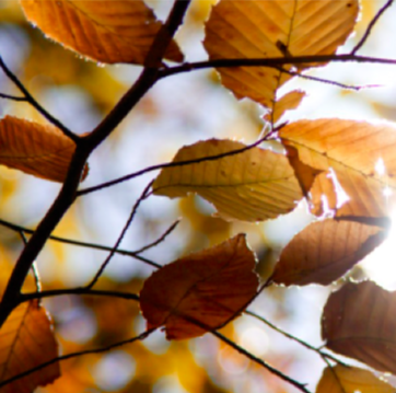 Pour une éthique de la transformation