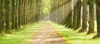 Transition énergétique : le sens se trouve-t-il dans le chemin ?