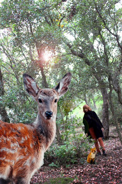 Pleine Lune du 12 novembre