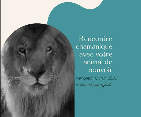Rencontre chamanique avec votre animal de pouvoir