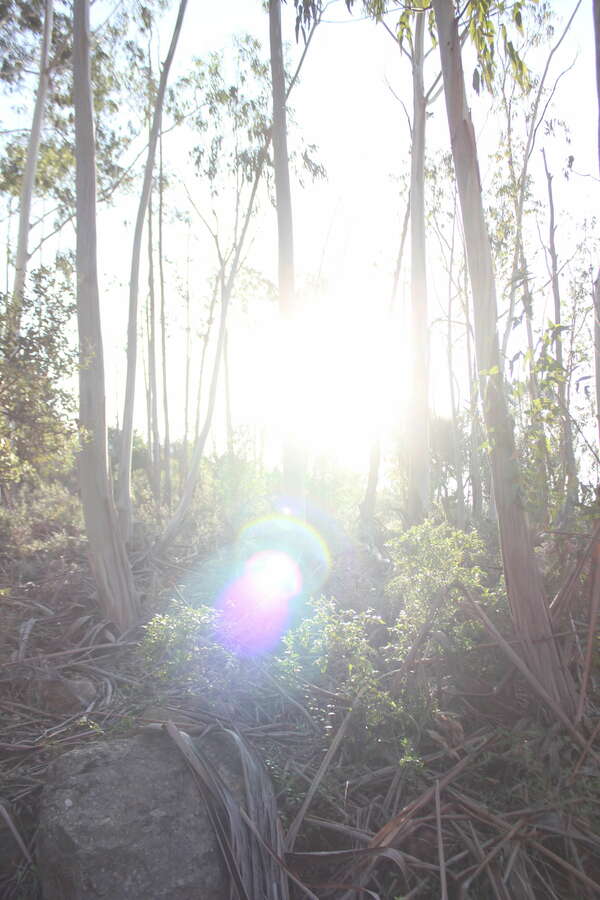 Atelier CHANGER SON ÉNERGIE AVEC LE SON Jeudi 20 avril 18h30  et/ou  Dimanche 23 avril 10h30