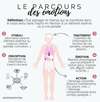 parcours des emotions eft et psychologie positive