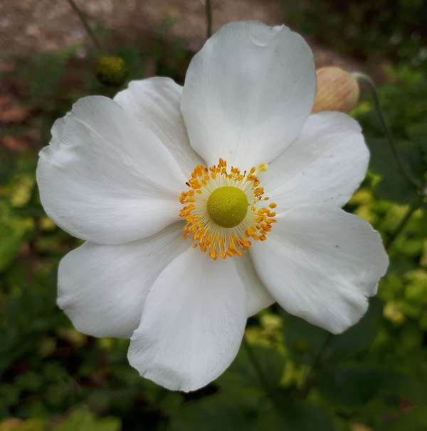 Découvrir la sophrologie ? Et si vous sautiez le pas ? 