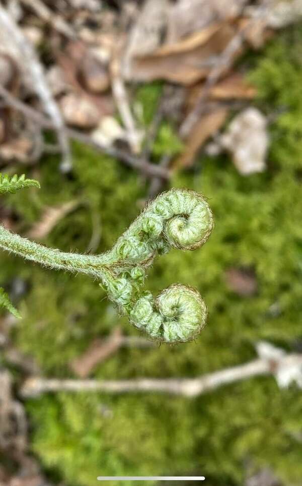 Le développement personnel 