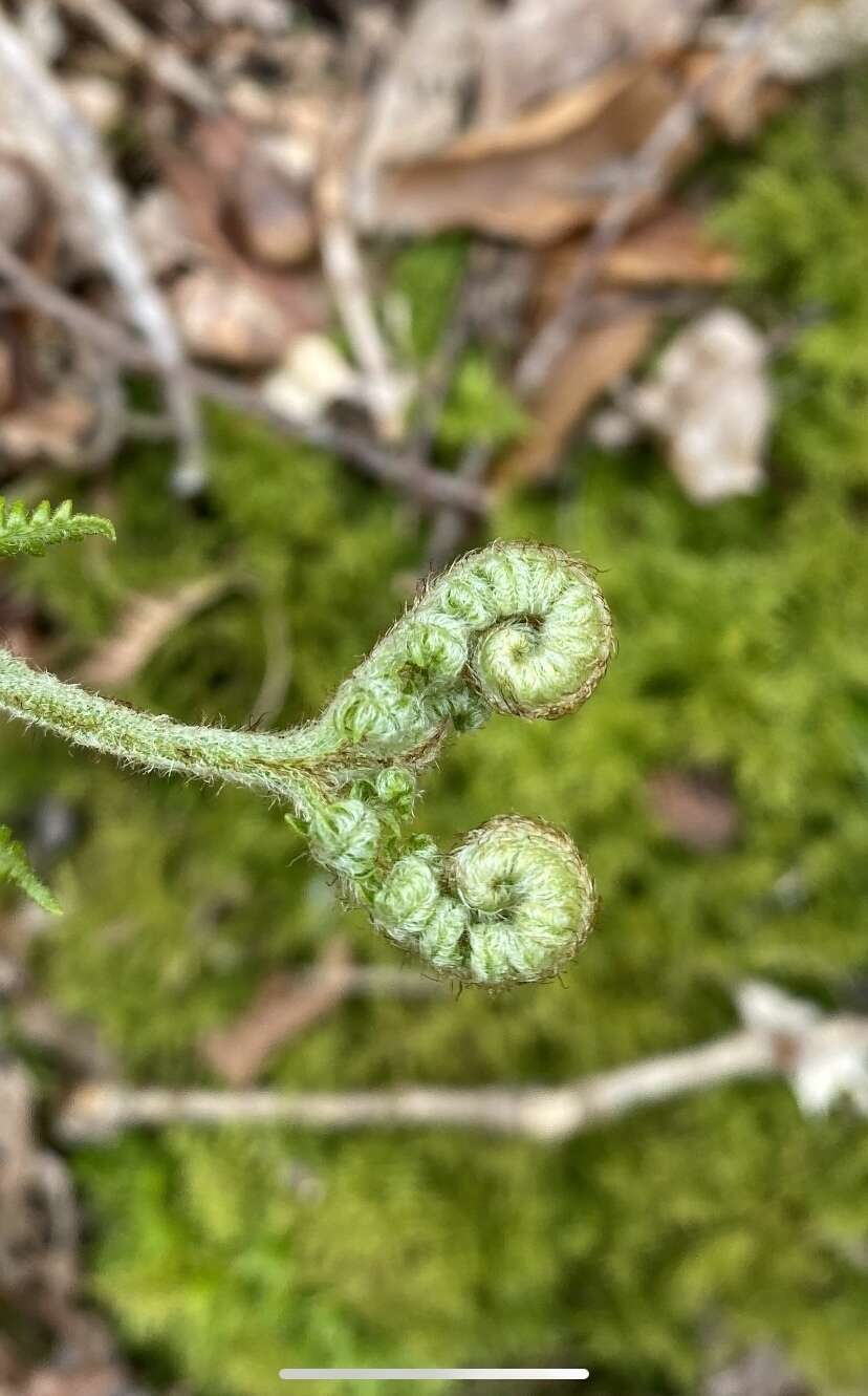 Le développement personnel Blog