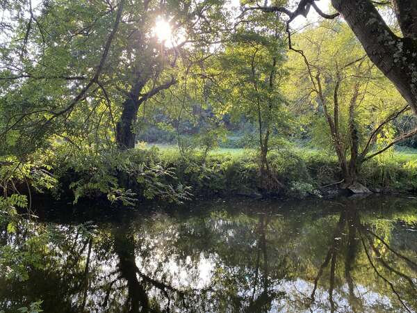 Quelques reflets dans l'eau 