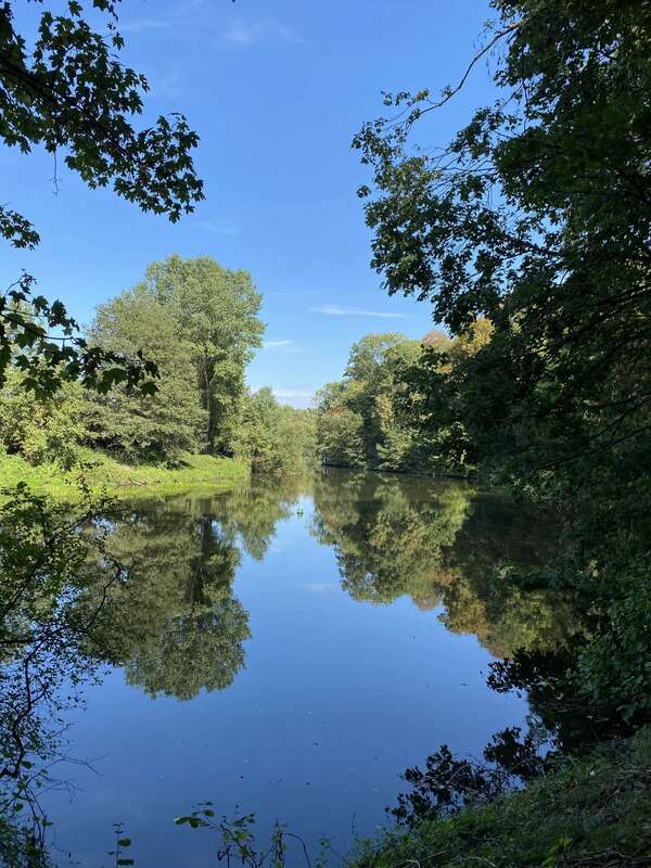 Oser avancer en confiance 