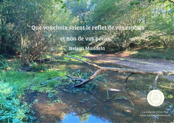 L'histoire de choisir et de renoncer 