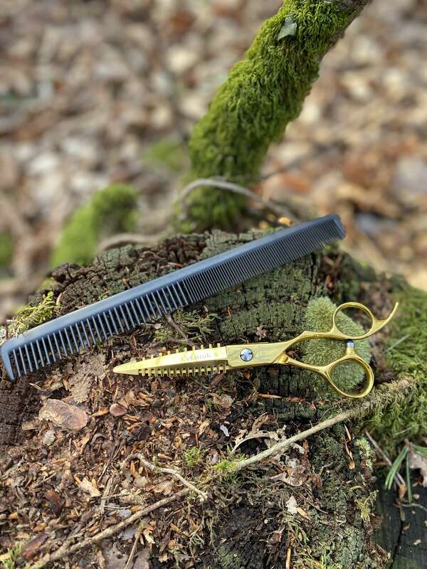 L'automne, la chute des feuilles et des cheveux  