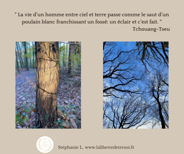 De bas en haut, de la terre jusqu'au ciel 