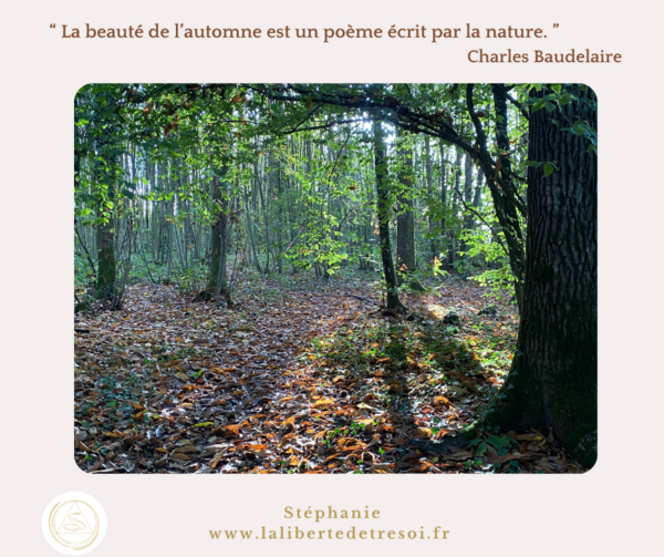 À l`automne, laissons entrer le soleil dans nos demeures 