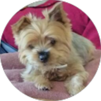 Avis Provence Energie - Yvette Daguet