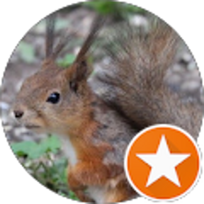 Avis Entreprise FR-RENOVATION Peinture Ravalement Facade, Couvreur - Ludivine Rr