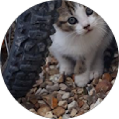 Avis Entreprise FR-RENOVATION Peinture Ravalement Facade, Couvreur - sandy sandy