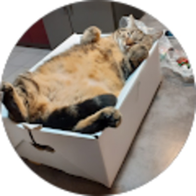 Avis Aéroclub du Giennois - Cyril Talbot (Talbobo)