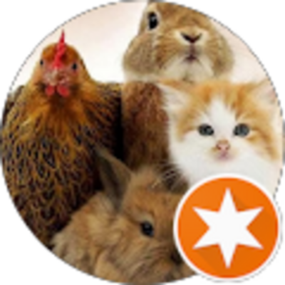 Avis Aéroclub du Giennois - Raja SDIRI