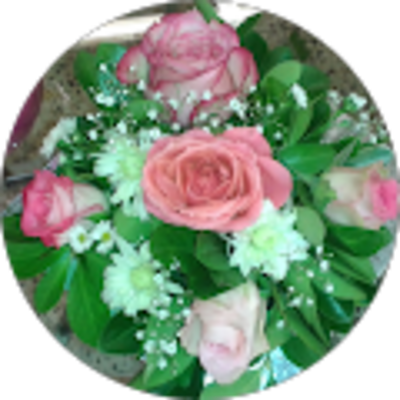 Avis ASE TECHNOLOGIE - Marye Lemaire