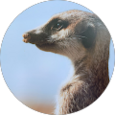 Avis ASE TECHNOLOGIE - Serge Sallee