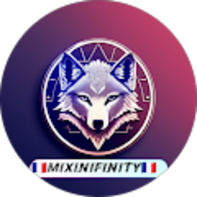 Avis JT 33 Serrurier Bordeaux - MixinfinitY 33