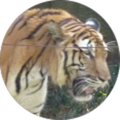 Avis DESIREE Davy Ostéopathe DO : Ostéopathe Baie-Mahault Guadeloupe - Ced Walker