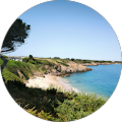 Avis Marion de Champris - Pascal T