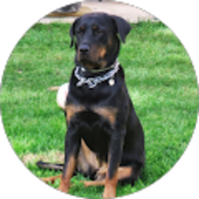 Avis Bastien Infotech - Dépannage Informatique MAC / PC Marseille - Angélique Yahyaoui